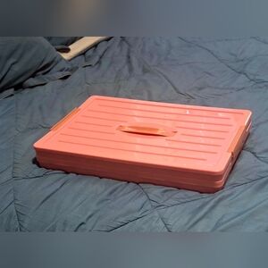 Pink Women's Apsan Collapsible Storage W/Lid